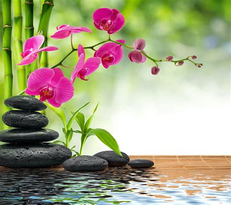 Massage Background Tranquil Spa Relaxing Hd Wallpaper Pxfuel