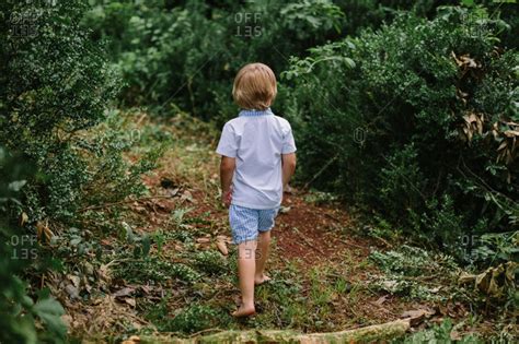 Barefoot Boy Exploring Woods Offset Stock Photo Offset