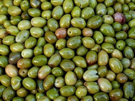 How To Brine Fresh Olives Recipe 🇮🇹 Hardcore Italians
