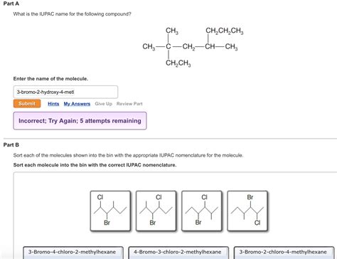 Solved What Is The Iupac Name Shown For The Compound Below Chegg Com My Xxx Hot Girl