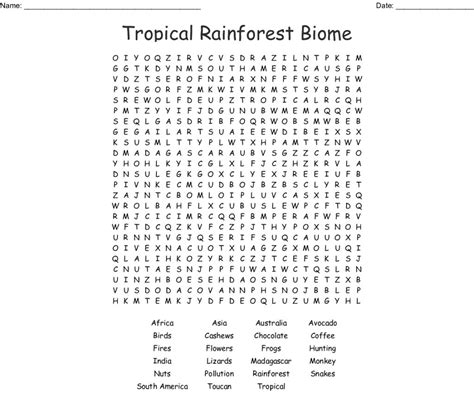 Tropical Rainforest Biome Word Search Wordmint Word Search Printable