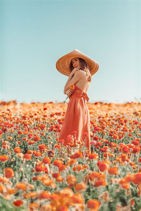 Dreamy Peach Flower Fields Flower Photoshoot Outdoor Photoshoot