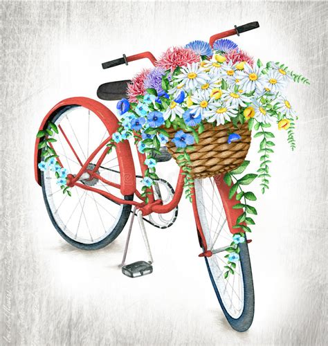 Vector illustration for greeting card or poster. Watercolor Red Bicycle With Flower Basket Stock ...