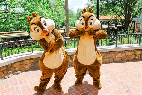 Meet Chip And Dale At Disney World