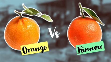 Orange Fruit Vs Kinnow How To Identify Orange And Kinnow In Market