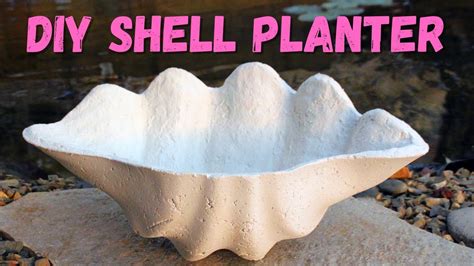 Diy Shell Planter Out Of Papercrete Lightweight Concrete Planters Clam Shell Cement Plant Pots