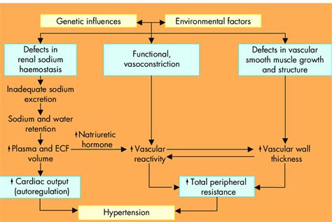 The Pathophysiology Of Primary Hypertension A Hypothetical Scheme For