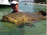 Florida Saltwater Shoreline Fishing License Photos
