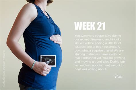 21 Weeks Pregnancy Series Haley Lorraine Photography
