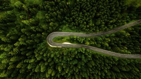 Wallpaper Nature Trees Grass Plants Road Hairpin Turns Aerial
