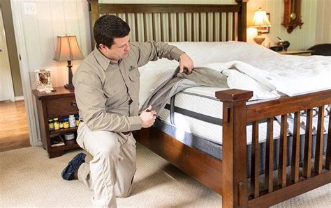 But if people move out, bed bugs can survive by feeding on rats or mice—so control these pests, too. Bed Bug Control | Quality Bed Bug Treatments For Greater ...
