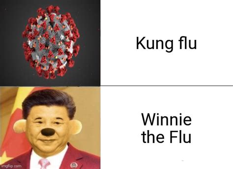 Kung Flu Vs Winnie The Flu Imgflip