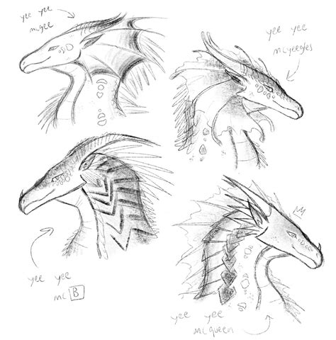 Seawing Rainwing Icewing Nightwing Hybrids Peregrinecella Ftu Sketch