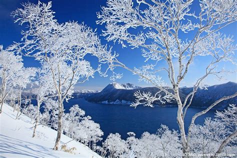 Lake Mashu Hokkaido White 2019 北海道 雪、摩周湖、樹氷