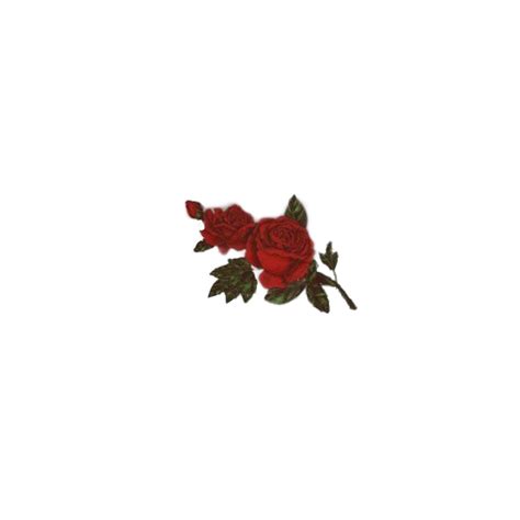 Roses Rose Aesthetic Red Freetoedit Sticker By B1rdsp1t