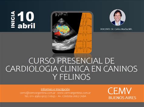 Curso Presencial De Cardiología Clínica En Caninos Y Felinos Cemv