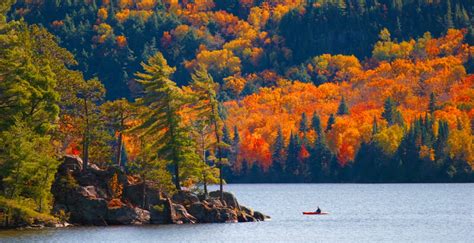 Best Places To See Beautiful Fall Foliage In Ontario Over