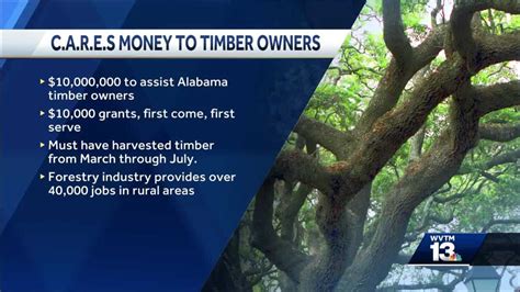 The alabama forestry commission (afc) is the forest management agency for the u.s. Gov. Ivey awards money from CARES Act to Alabama Forestry ...