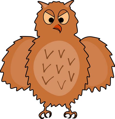 Brown Furry Owl With Wings Out Clipart Free Download Transparent Png
