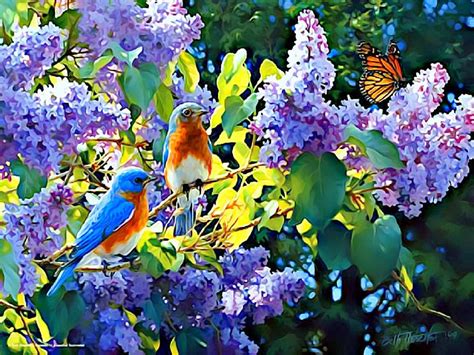 Spring Birds And Flowers Wallpapers Wallpaper Cave