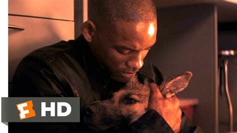 Adapted from acclaimed author richard matheson's influential novelette of the same name, constantine director francis lawrence's i am legend. I Am Legend (6/10) Movie CLIP - Goodbye, Sam (2007) HD ...