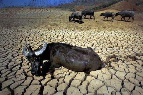 Crisis Del Agua De La Contaminación A La Sequía Veoverde Nueva Mujer