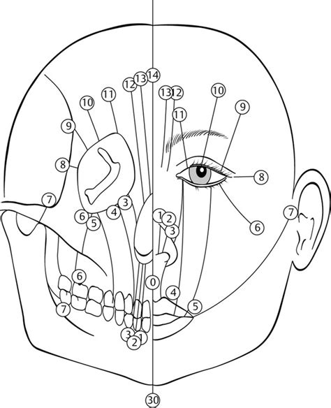 6 Rare Craniofacial Clefts Plastic Surgery Key