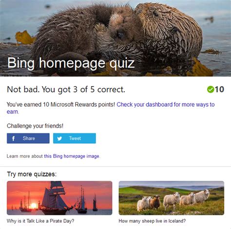 Homepage Quiz