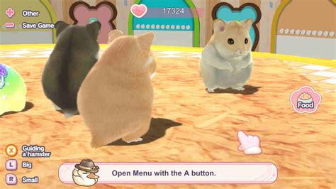 Game Hamster Online Paling Asyik Siap Siap Tahan Rasa Gemas