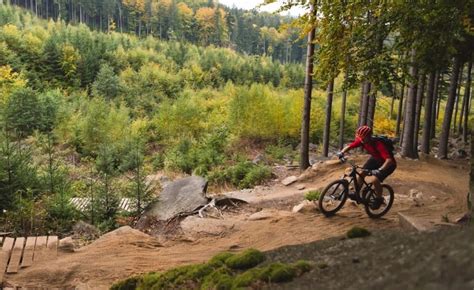 The 7 Best Hardtail Mountain Bikes 2021 Reviews