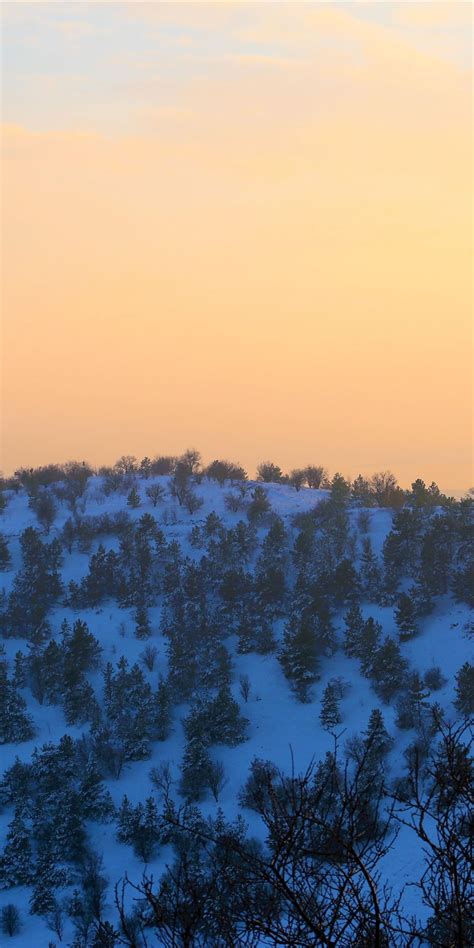 Winter Hilltop Sunset Nature 1080x2160 Wallpaper Sunset Nature
