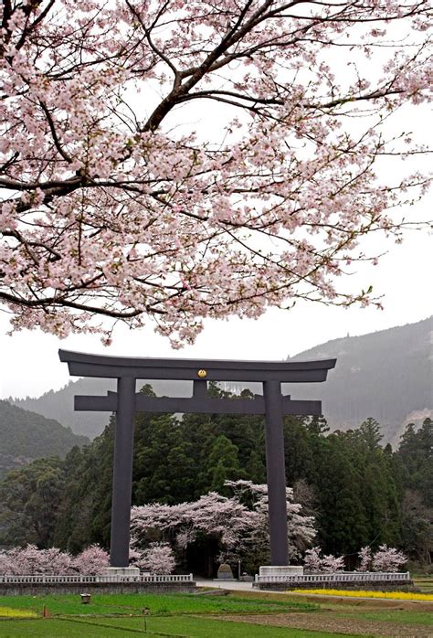 Visit Wakayama Photo Gallery Of Some Of Major Sakura