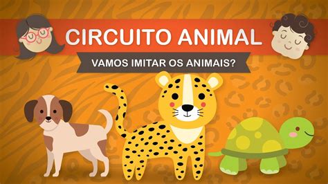 Circuito Animal 02 Vamos Aprender E Imitar Os Animais Série Mexendo