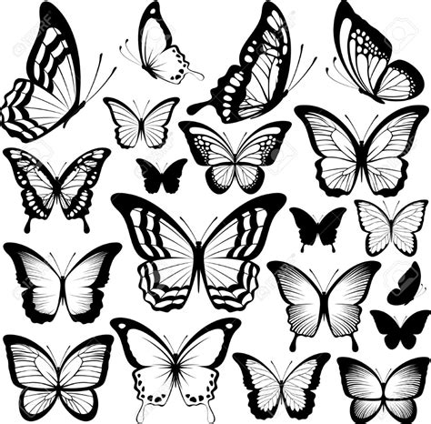 Tatuajes Y Siluetas De Mariposas Negras Aisladas Sobre Fondo Blanco