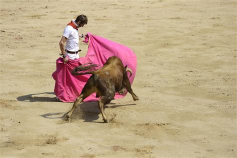 Matador Bullfight 10 Pamplona Pictures Spain In Global Geography