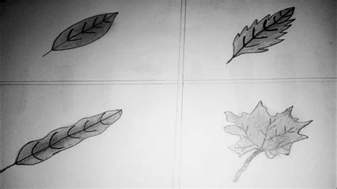 How To Draw 4 Leaves Pencil Easy Youtube