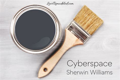Cyberspace Paint Color By Sherwin Williams 2023