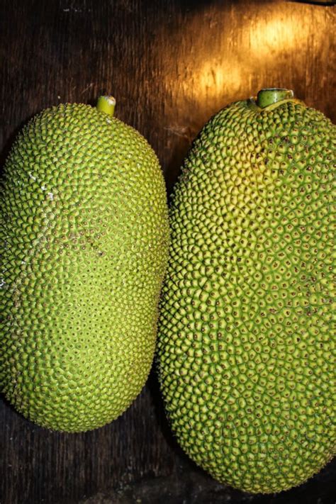 Edible Tropicals How To Grow Eat And Cook Jackfruit Cooking