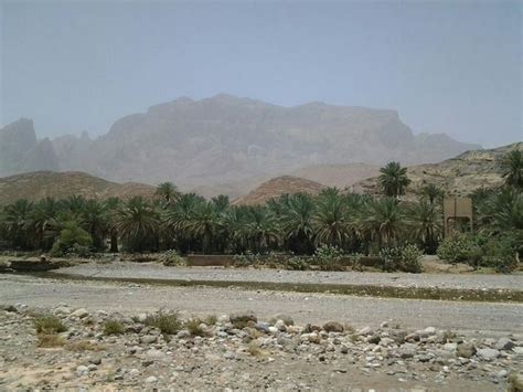 Near Wadi Al Ain Ibri Oman Oman Al Ain Wadi