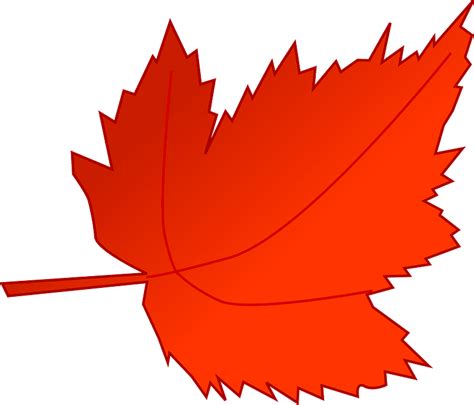 Maple Leaf Png Clipart Fall Leaf Leaf Clipart Leaf Clipart Maple