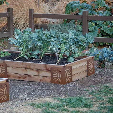 The benefits of opting for raised garden bed boxes heavily outweigh the disadvantages. Bloom 9.5 in. Steel Sun Design Raised Garden Bed Corners ...