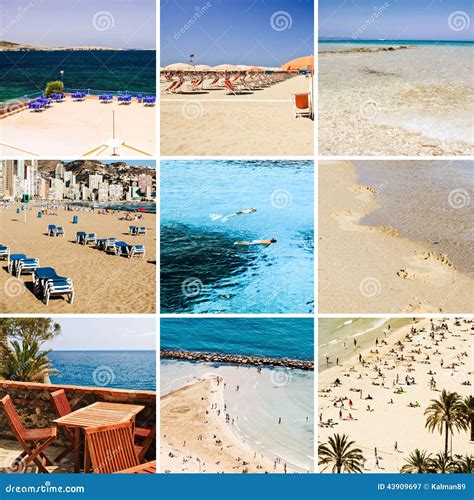 Sea And Beach Collage Stock Image Image Of Holiday 43909697