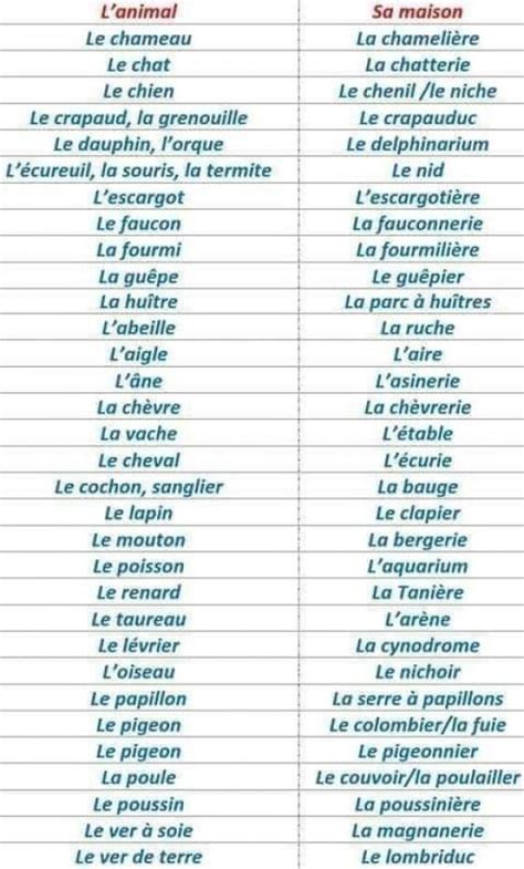 Les 100 Mots Les Plus Utilisés En Français à Lécole Vocabulary