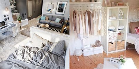 Diese pflanzen sind perfekt für deine wohnung! Wohnung einrichten inspiration