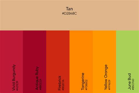 Tan Color Its Meaning Codes And Top Palette Ideas Picsart Blog 2023