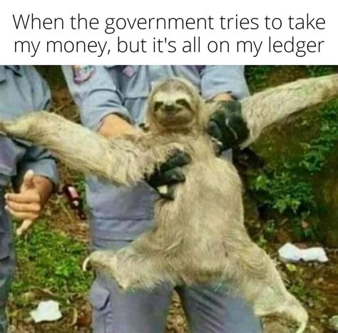 Sloth Memes Do You Like