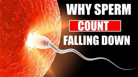 How To Increase Sperm Count Infertility Low Sperm Count Falling