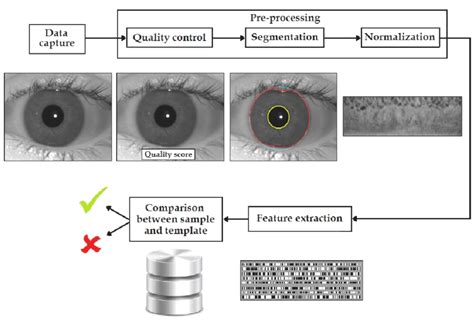 9 Components Of An Iris Biometric System Download Scientific Diagram