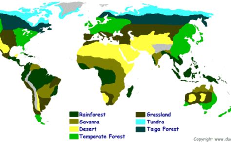 Map Of The World Biomes Biomes Ecosystems Science For Kids Kisah Sekolah