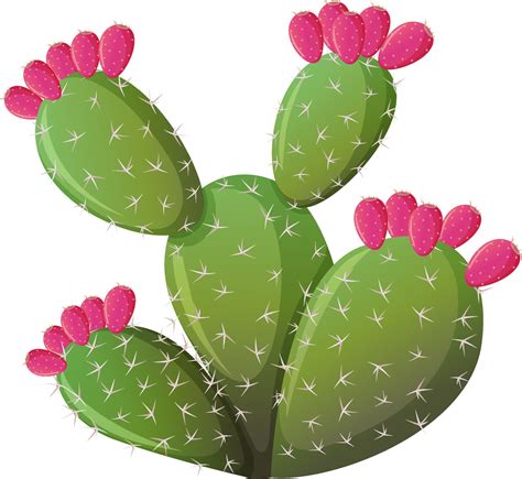 Prickly Cactus In Cartoon Style Isolated On White Background 2775809